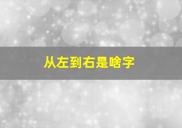 从左到右是啥字