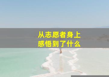 从志愿者身上感悟到了什么