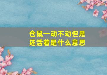 仓鼠一动不动但是还活着是什么意思