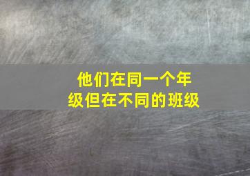 他们在同一个年级但在不同的班级