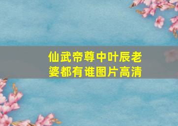 仙武帝尊中叶辰老婆都有谁图片高清