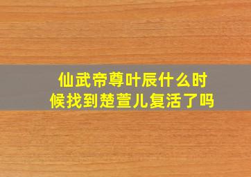 仙武帝尊叶辰什么时候找到楚萱儿复活了吗