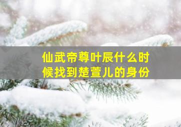 仙武帝尊叶辰什么时候找到楚萱儿的身份