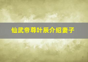 仙武帝尊叶辰介绍妻子