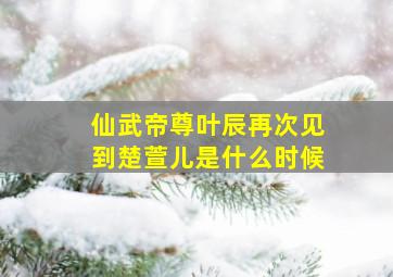 仙武帝尊叶辰再次见到楚萱儿是什么时候