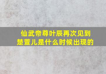 仙武帝尊叶辰再次见到楚萱儿是什么时候出现的