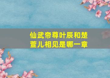 仙武帝尊叶辰和楚萱儿相见是哪一章