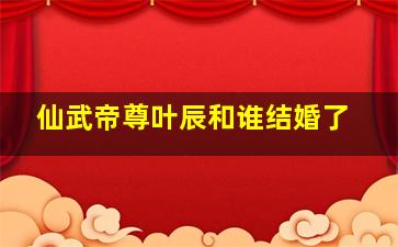 仙武帝尊叶辰和谁结婚了