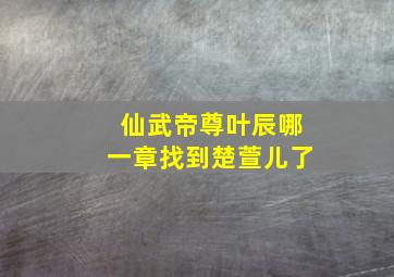 仙武帝尊叶辰哪一章找到楚萱儿了