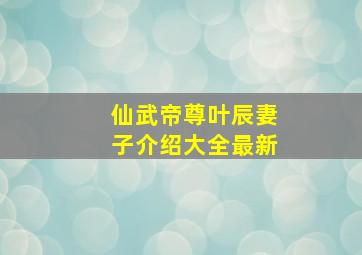 仙武帝尊叶辰妻子介绍大全最新