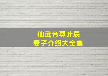 仙武帝尊叶辰妻子介绍大全集