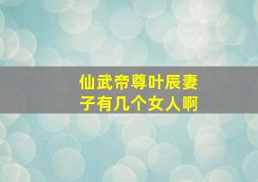 仙武帝尊叶辰妻子有几个女人啊