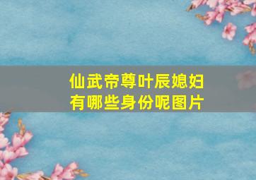 仙武帝尊叶辰媳妇有哪些身份呢图片