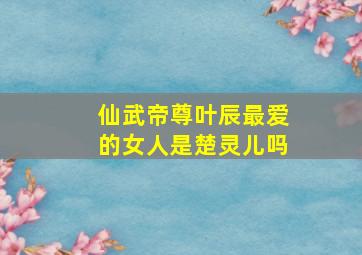 仙武帝尊叶辰最爱的女人是楚灵儿吗