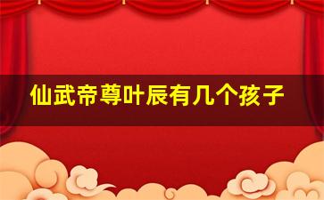 仙武帝尊叶辰有几个孩子