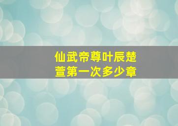 仙武帝尊叶辰楚萱第一次多少章