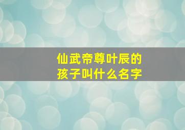 仙武帝尊叶辰的孩子叫什么名字