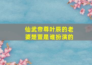 仙武帝尊叶辰的老婆楚萱是谁扮演的