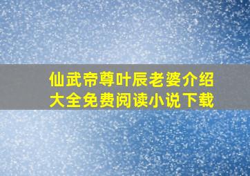 仙武帝尊叶辰老婆介绍大全免费阅读小说下载