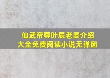 仙武帝尊叶辰老婆介绍大全免费阅读小说无弹窗