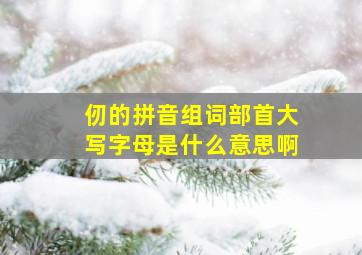 仞的拼音组词部首大写字母是什么意思啊