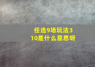 任选9场玩法310是什么意思呀