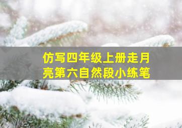 仿写四年级上册走月亮第六自然段小练笔