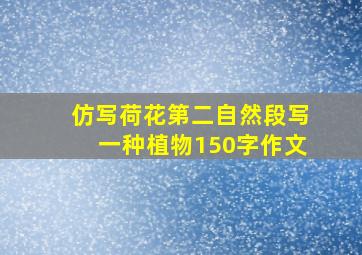 仿写荷花第二自然段写一种植物150字作文