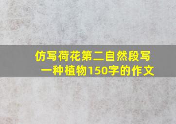 仿写荷花第二自然段写一种植物150字的作文