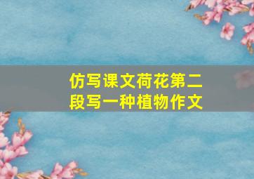 仿写课文荷花第二段写一种植物作文