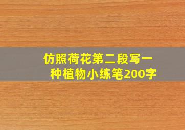 仿照荷花第二段写一种植物小练笔200字