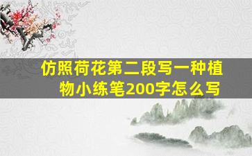 仿照荷花第二段写一种植物小练笔200字怎么写