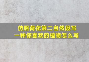 仿照荷花第二自然段写一种你喜欢的植物怎么写