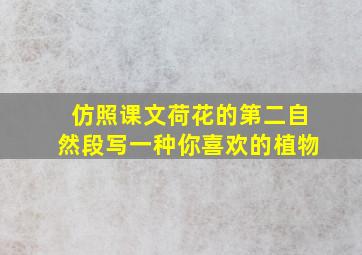 仿照课文荷花的第二自然段写一种你喜欢的植物