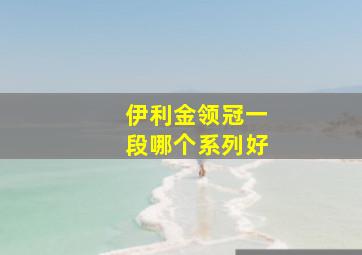 伊利金领冠一段哪个系列好