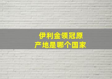 伊利金领冠原产地是哪个国家