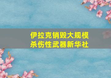 伊拉克销毁大规模杀伤性武器新华社