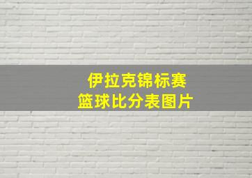 伊拉克锦标赛篮球比分表图片