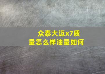 众泰大迈x7质量怎么样油量如何