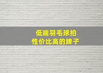 低端羽毛球拍性价比高的牌子