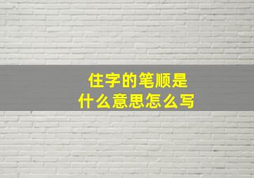 住字的笔顺是什么意思怎么写