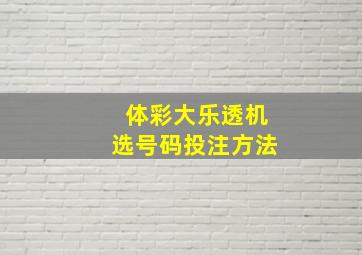 体彩大乐透机选号码投注方法