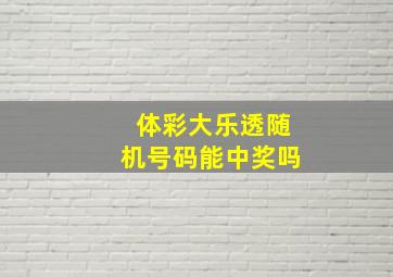 体彩大乐透随机号码能中奖吗