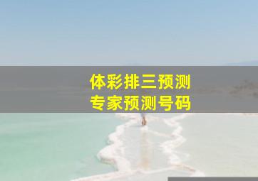 体彩排三预测专家预测号码