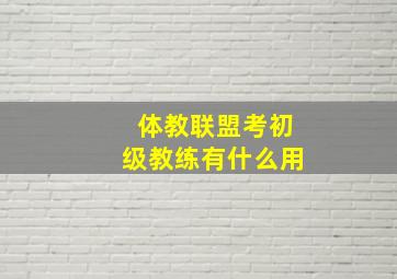 体教联盟考初级教练有什么用