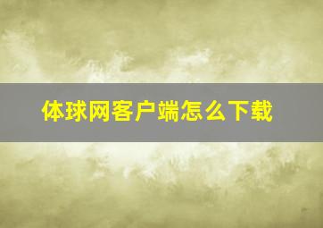 体球网客户端怎么下载