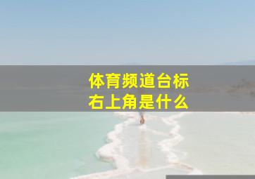 体育频道台标右上角是什么