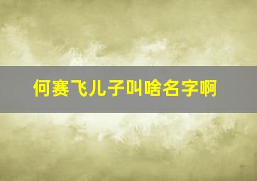 何赛飞儿子叫啥名字啊