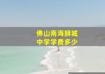 佛山南海狮城中学学费多少