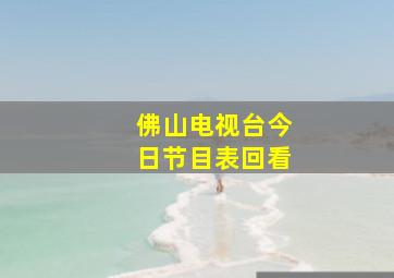 佛山电视台今日节目表回看